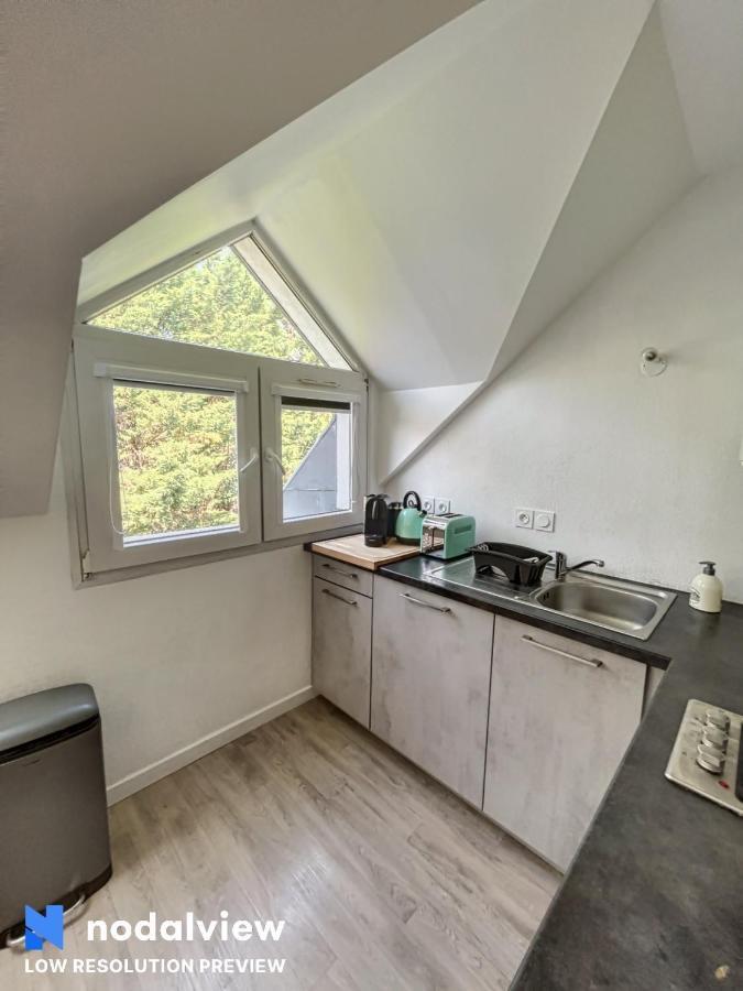 Apartmán Magnifique T1 Bis Triangle D Or - Parking - Wifi Annecy Exteriér fotografie